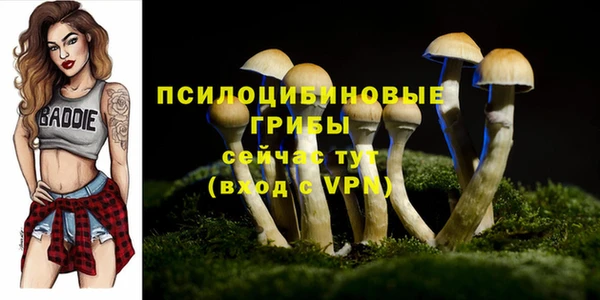 мдпв Богданович