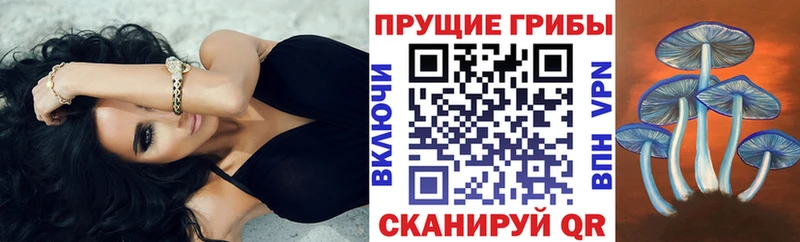 Галлюциногенные грибы MAGIC MUSHROOMS  где можно купить   Старица 